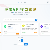 坏蛋网络API接口管理和精准查全套源码