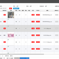 全球最专业的国际交友恋爱网站大型国际交友网交友网站12国语言